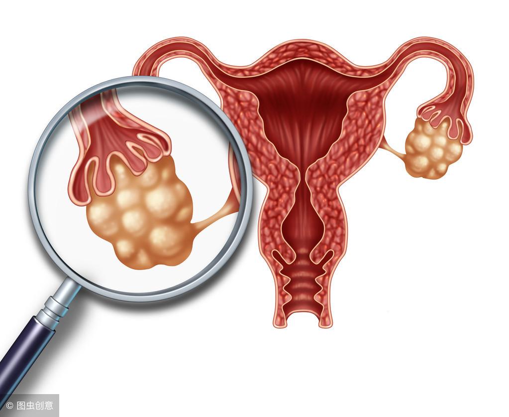 女人保养卵巢用什么小办法有效果