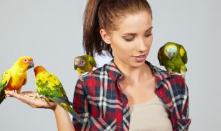 鸟自动喂食器制作方法 鸟类自动喂食器怎么制作