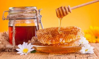 蜂蜜美容护肤小窍门有哪些 蜂蜜美容护肤的8个方法