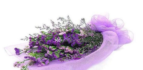 忽忘我是什么花，紫色的勿忘我浇完水为什么长出小白花？会变色吗？