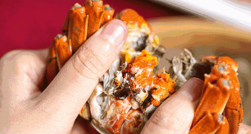 螃蟹怎么挑选肥瘦，九月的螃蟹壳大肉少什么意思？