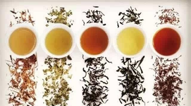 怎样识别茶叶的种类(茶叶种类及十大名茶)