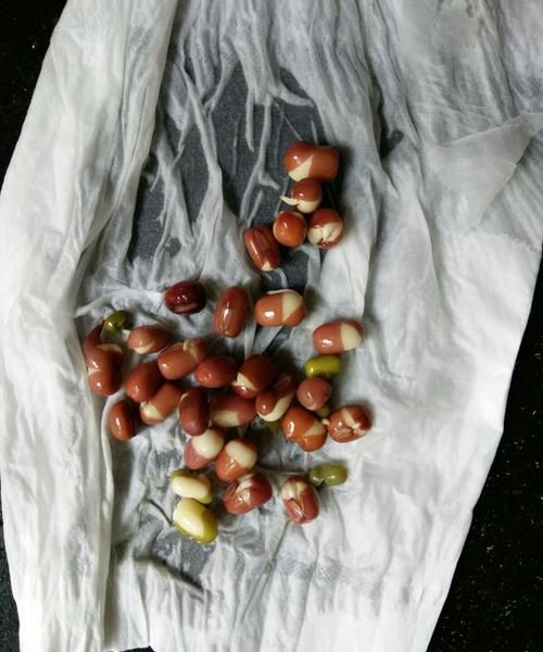 红豆发芽了怎么办，红豆和绿豆的发芽方式一样？
