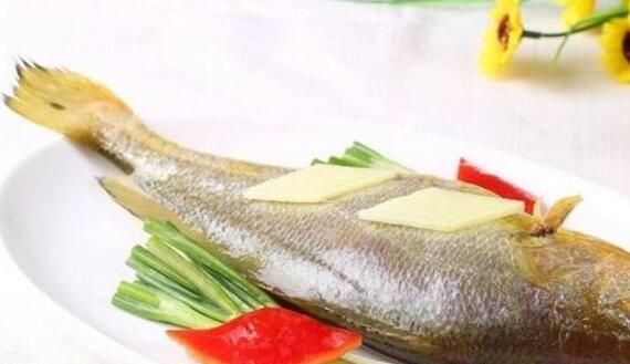 黄鱼的营养价值，黄花鱼和鲈鱼哪个营养价值高？