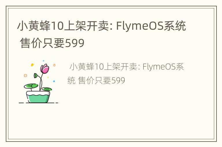 小黄蜂10上架开卖：FlymeOS系统 售价只要599