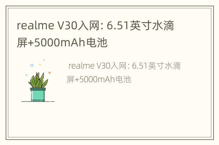 realme V30入网：6.51英寸水滴屏+5000mAh电池