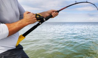 鱼杆是什么材料做的 鱼竿材质区分
