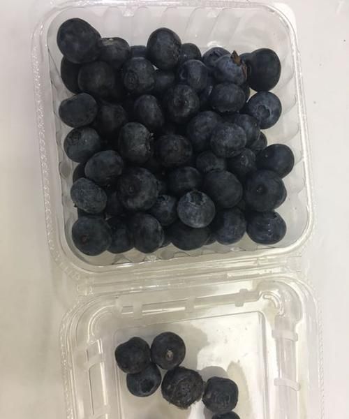 蓝莓变质怎么辨别，蓝莓小苗黄化了怎么办？