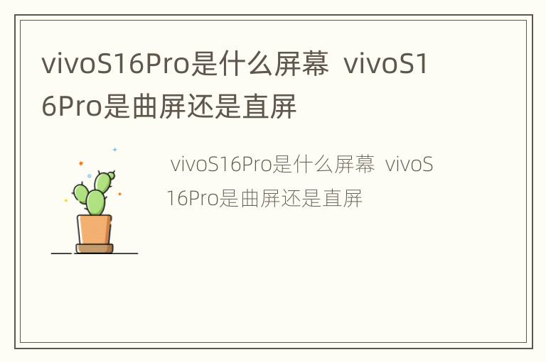 vivoS16Pro是什么屏幕  vivoS16Pro是曲屏还是直屏
