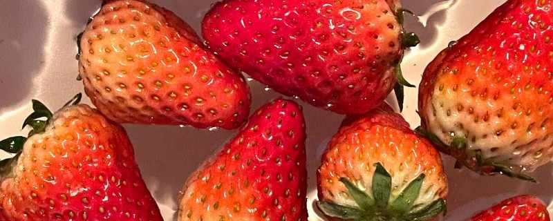 吃的草莓是什么部位（吃的草莓是什么部位蚂蚁庄园）