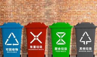 粽叶属于什么垃圾分类 粽叶属于什么垃圾分类南京