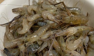 基围虾怎么做给宝宝吃 基围虾怎么做给宝宝吃营养又好吃
