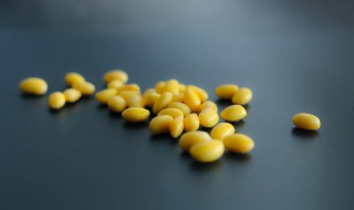 黄豆制作花肥的方法 黄豆怎么制作花肥料