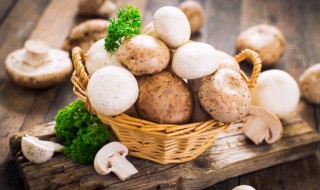 减肥可以吃蘑菇吗（减肥可以吃蘑菇吗会胖吗）