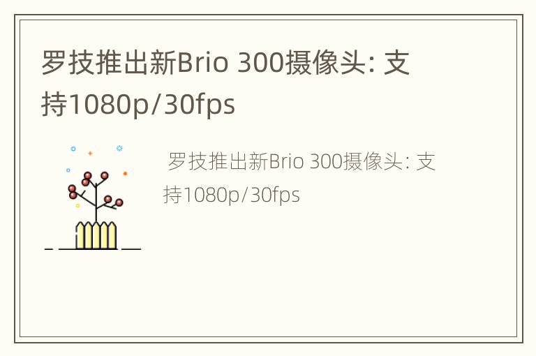 罗技推出新Brio 300摄像头：支持1080p/30fps