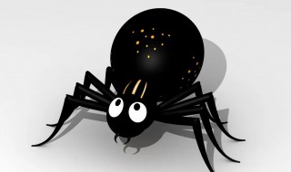 如何养好一只黑色蜘蛛有毒吗 无毒好养的蜘蛛
