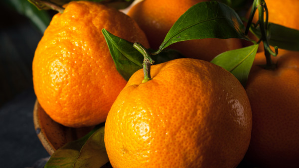 橘子榨汁加什么水果 喝橘子汁对身体有什么益处