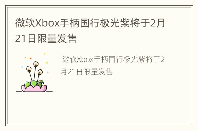 微软Xbox手柄国行极光紫将于2月21日限量发售