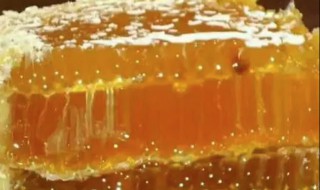 蜂巢如何提取蜂蜡 蜂巢如何提取蜂蜡