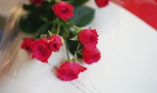 玫瑰花保存的方法 玫瑰花保存的方法有哪些