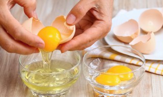 榨汁机打鸡蛋清技巧（榨汁机怎么打蛋清）