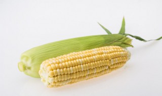 玉米种子零下多少度冻不坏 玉米种子冬季储存最低温度