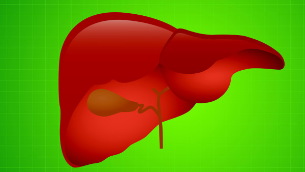 脂肪肝是怎么回事 了解脂肪肝产生的四大原因