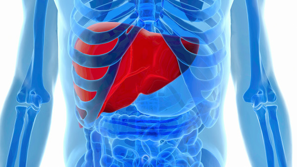 脂肪肝如何治疗有效 分享治疗脂肪肝的3种方法