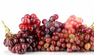 水果店夜间葡萄怎么保鲜 葡萄晚上怎么保存