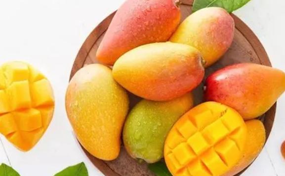 芒果干和芒果脆有什么区别？芒果成熟在什么季节呢