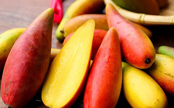芒果可以做成什么样的美食？红芒果是什么品种