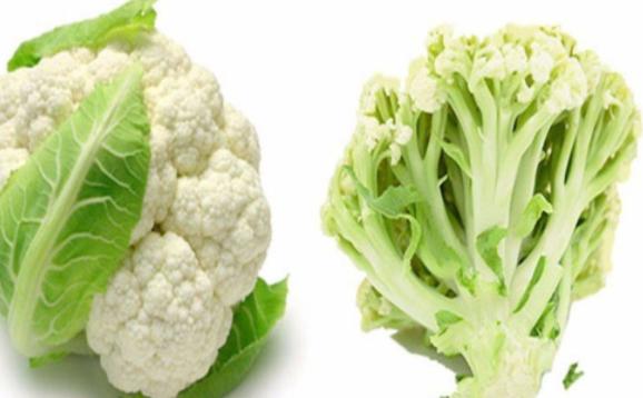 有机花菜和花菜的区别有哪些？有机花菜的营养