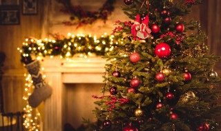 树枝怎么做手工圣诞树 自己动手用树枝做圣诞树