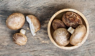 香菇营养成分 香菇营养成分与功效