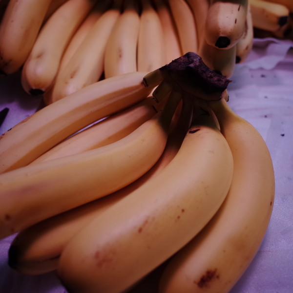 香蕉皮含蕉皮素 香蕉皮可治九种病