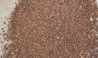 用大豆做底肥的使用方法 大豆底肥配方比例