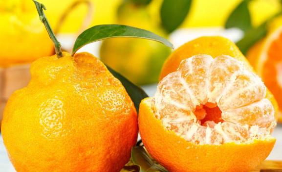 耙耙柑是丑橘吗？耙耙柑与丑橘的怎么区分