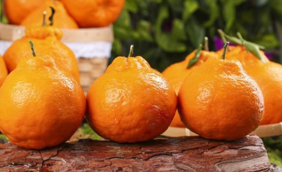 耙耙柑是丑橘吗？耙耙柑与丑橘的怎么区分