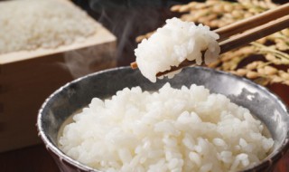 大米饭米和水的比例（蒸米饭一碗米几碗水）