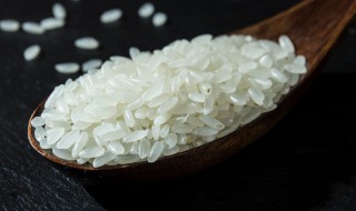 胚芽米和普通米有什么区别（吃胚芽米的好处和坏处）