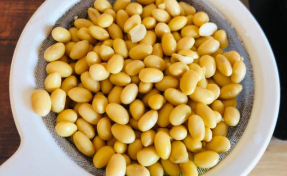 黄豆水属于磷肥还是氮肥？黄豆来不及泡怎么办