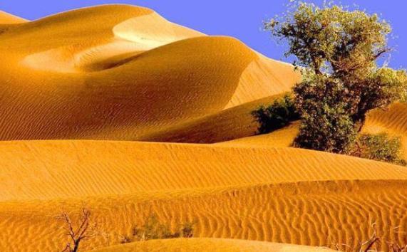 沙漠可以分为什么沙漠？在沙漠中没有水怎么办