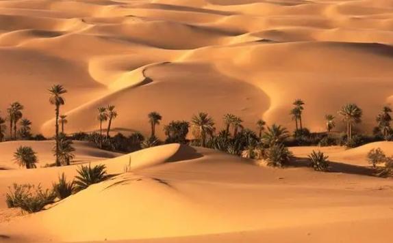 开罗为什么被称为沙漠古城？撒哈拉沙漠简介