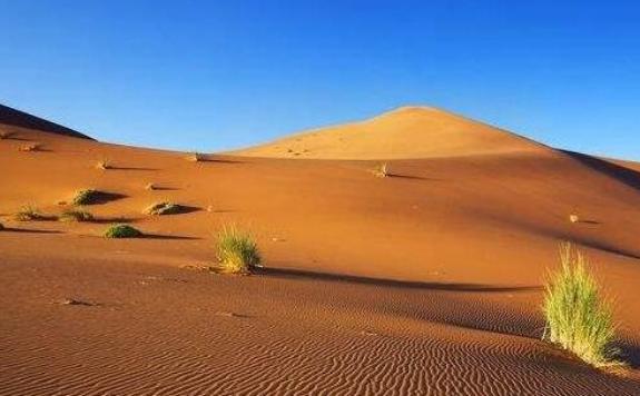 世界上最大的沙漠是哪里？沙漠为什么会发洪水