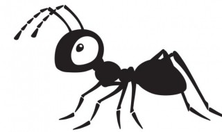 蚂蚁是怎么辨别味道的 蚂蚁是怎样辨别味道的