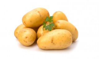 土豆怎么保存不干不烂 土豆怎么保存不会烂掉