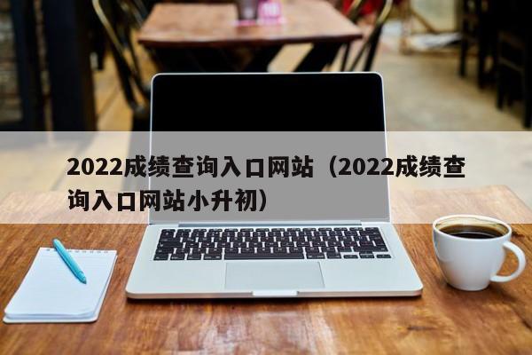 2022成绩查询入口网站（2022成绩查询入口网站小升初）