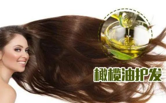 橄榄油护发洗头前用还是洗头后用？橄榄油护发的正确方法