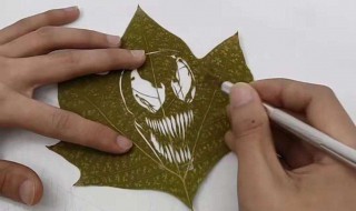 怎么雕刻叶子 叶子的雕刻技法视频
