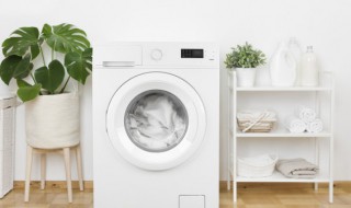 洗衣机的清洗技巧 洗衣机清洗技巧-广告-推广